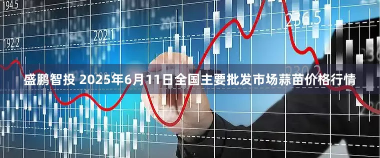 盛鹏智投 2025年6月11日全国主要批发市场蒜苗价格行情